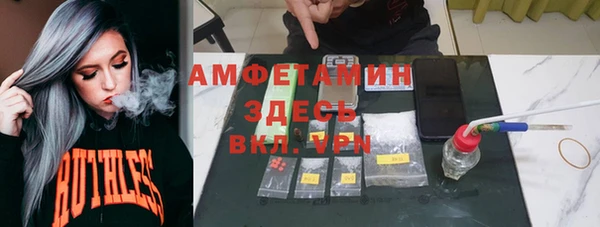 молекула духа Арсеньев