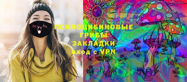 твердый Алексеевка